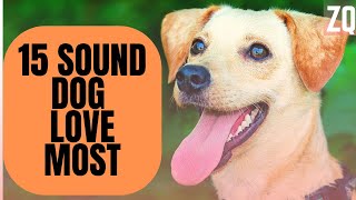 15 Sounds Dogs Love To Hear The Most | Sound Effects HD