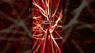 Bassline riot Stream &amp; Download #electro #electromusic #housemusic  #bassilineriot #techhouse