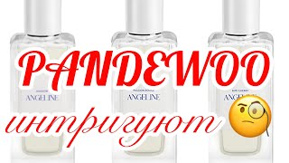 RANDEWOO интригуют! Таинственный бренд ANGELINE.