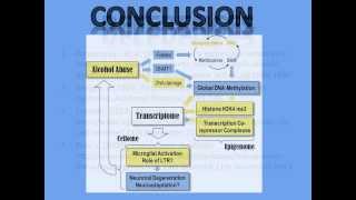 u1201302 Epigenetics on Alcohol Dependence
