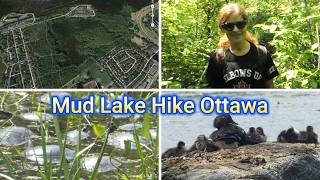 Mud Lake Ottawa Hike June 2025