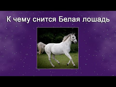 К чему снится Белая лошадь – толкование сна по Соннику