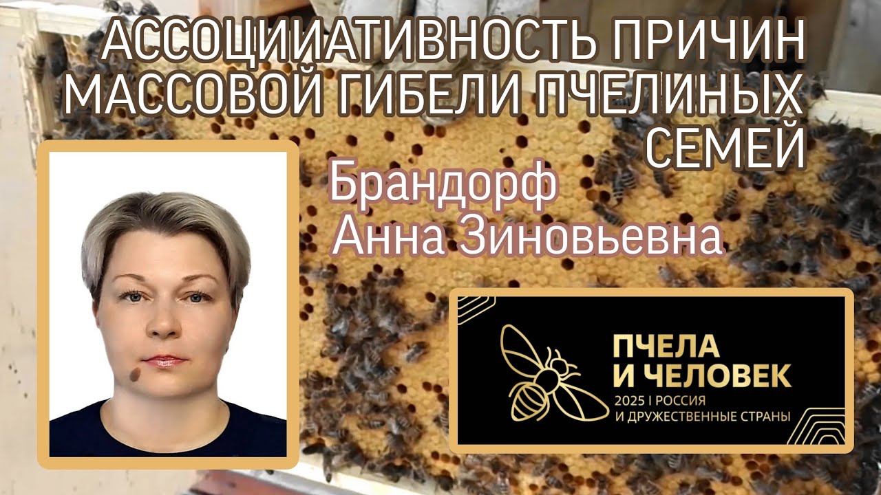 АССОЦИИАТИВНОСТЬ ПРИЧИН МАССОВОЙ ГИБЕЛИ ПЧЕЛИНЫХ СЕМЕЙ Брандорф Анна Зиновьевна