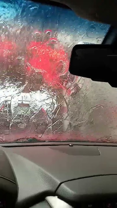 these-birds-keep-pooping-on-my-cars-i-hope-everyone-is-doing-well