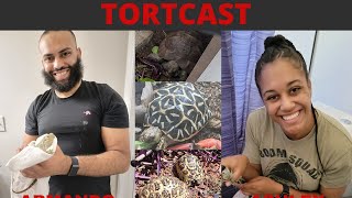Tortcast: Episode 1- Leopard tortoise