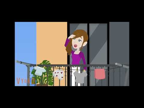 شله المجانبن في جزيره القرود