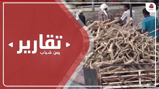 اختفاء مادة الغاز المنزلي في تعز ينهك السكان ويفاقم الأزمات المعيشية