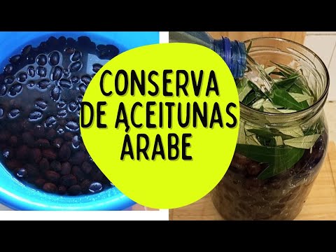 Que hacer con las aceitunas de un olivo