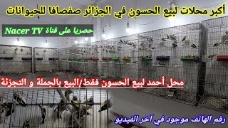 بيع المقنين بالجملة و التجزئة/جولة في محل أحمد لبيع الحسون فقط/محلات صفصافا لبيع كل مايخص الحيوانات!