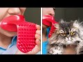 Cute And Clever GADGETS And APPLIANCES For Every Home || Cleaning, Pets, Kitchen, Clothes