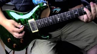 Paul Reed Smith Custom 22 Brazilian Ltd