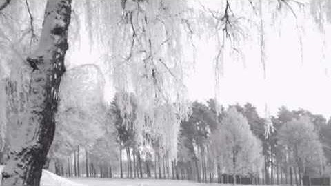 Winter Dreams short story video with symbols