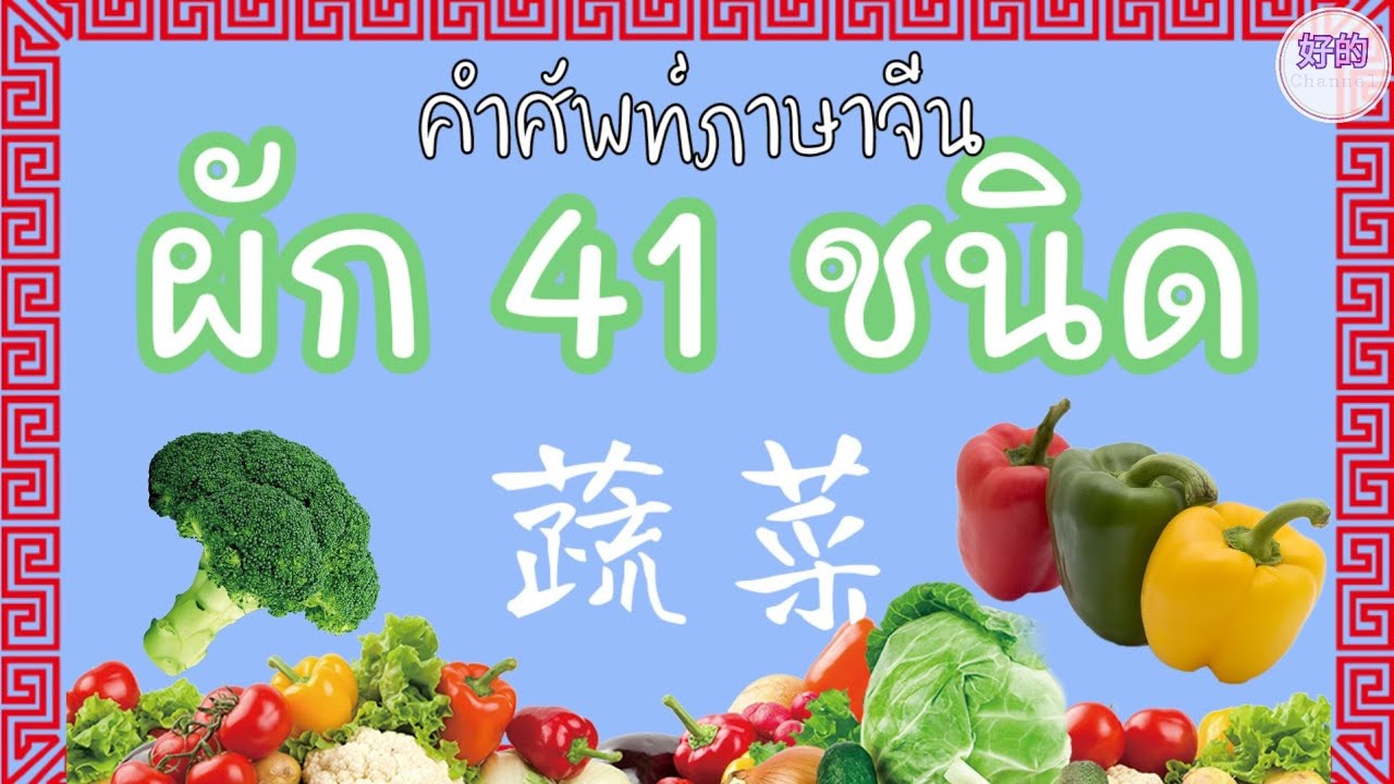ผัก ภาษาจีน คำศัพท์ภาษาจีน ผัก 41 ชนิด
