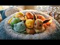 I Simulated 6 Pokémon in Real Life | but Rayquaza...
