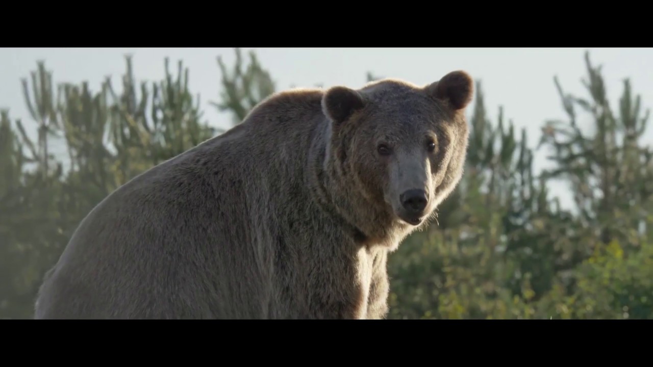 Legendia Parc - saison 2020