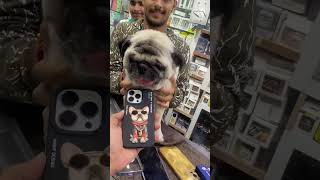 Amazing DOG warrping and ASMR case iPhone 14 pro #shorts #ytshorts #iphone13pro #iphone13