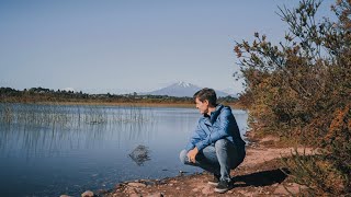 ¿ POR QUÉ SON TAN IMPORTANTES LOS HUMEDALES?/ PUERTO MONTT- SUR DE CHILE