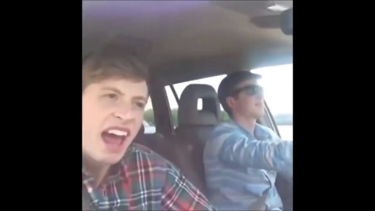 A short vine comp that should make your day YouTube