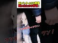 【笑劇】エレベーターという密室...飼い主たちの苦悩！　#いぬ #犬 #ワンコ #犬動画 #衝撃映像 #犬のいる暮らし #面白い #面白動画 #かわいい #カワイイ #shorts #飼い主