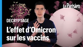 Pourquoi le variant Omicron réduit-il l’efficacité des vaccins ?