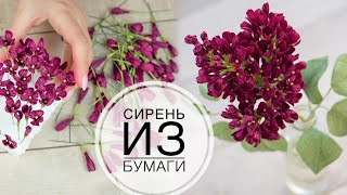 Paper lilac like REAL / Сирень из бумаги как НАСТОЯЩАЯ / DIY TSVORIC