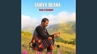 Xece U Siyabend Resimi