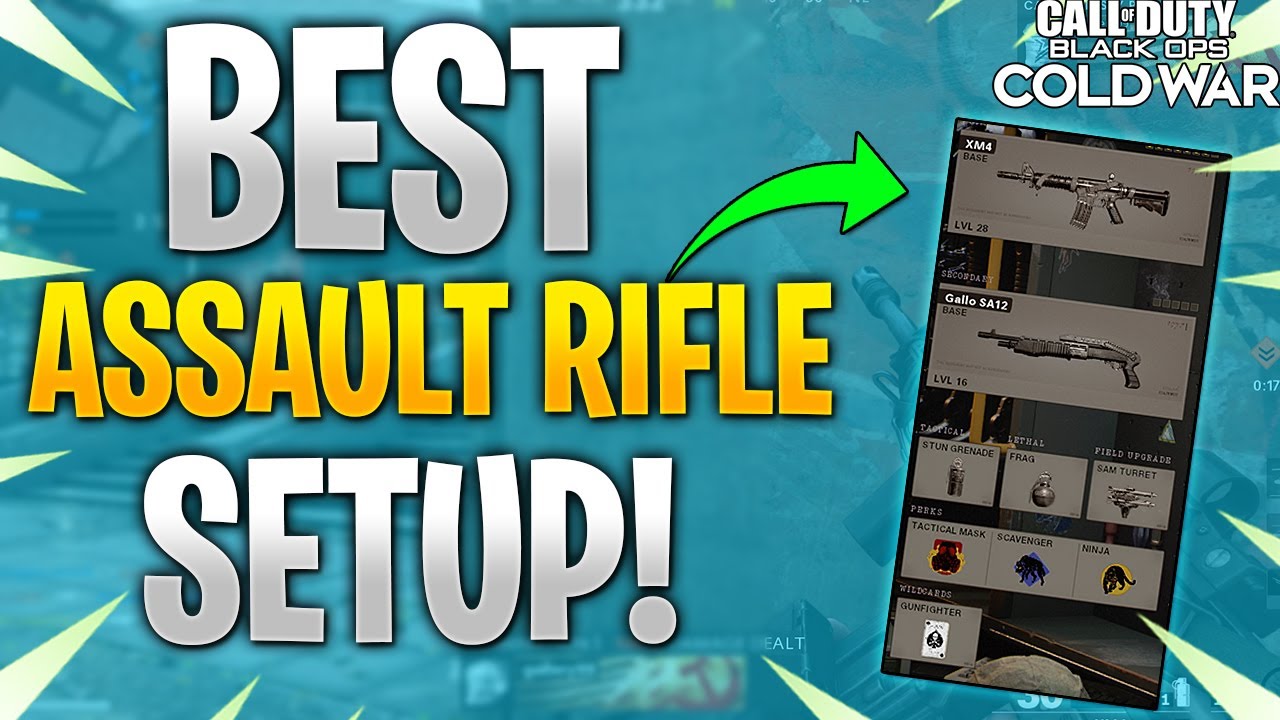 The BEST Assault Rifle Class Setup in Black Ops Cold War ALPHA!