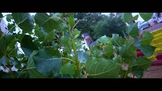 under the rain (by tastous 07)...