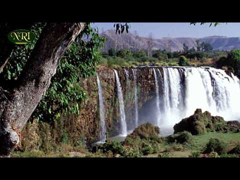 Daneal W Gebreal Hilm Ayehu Mata ዳንኤል ወ ገብርኤል ህልም አየሁ ማታ Ethiopian Instrumental Music