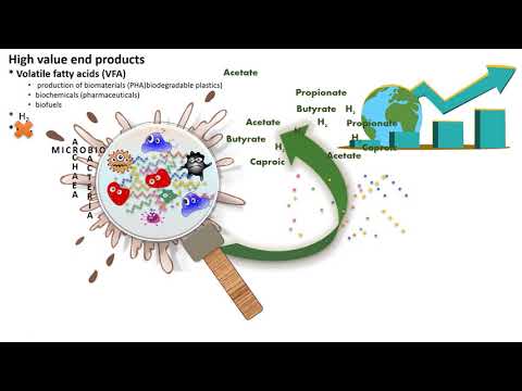 VFA Fermentation Research At Luke