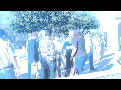 Starline | Things to see in Copenhagen Denmark 馃嚛馃嚢