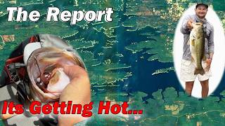 Lake Hamilton, Lake Ouachita, and Lake Degray Bass Fishing & Crappie Fishing Report - 7/2/2026