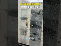 【大陸】窗上竟有鮭魚和章魚？颱風吹來海鮮大餐！