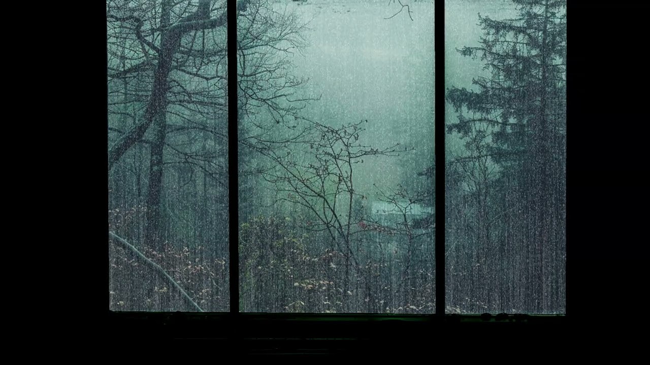 Dark, Foggy Forest with Relaxing Rain 🌧️ | Calm Yet Mysterious Night Sounds Outside the Window 🌲