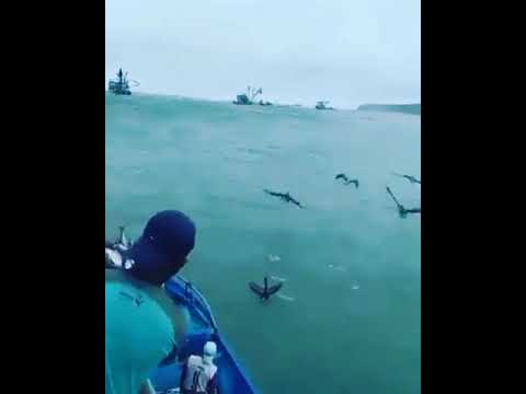 Video: Luoghi dove ascoltare musica dal vivo a Oahu, Hawaii