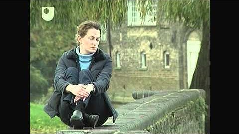 What Is Imagination? - Consciousness and The Imagination (1/4)