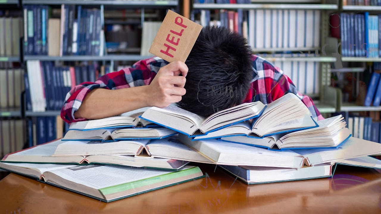 Vídeo: ¿Es importante estudiar?