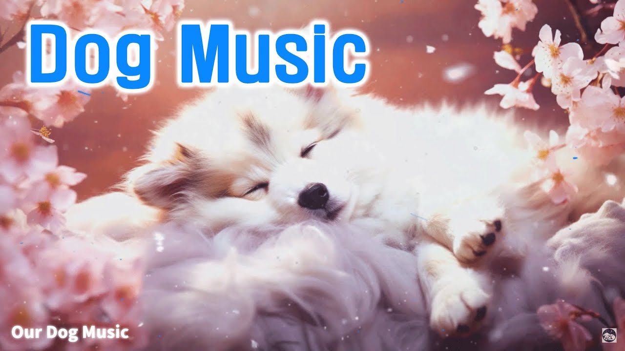 Picture of Deep Separation Anxiety Music for Dog Relaxation! Helped 30 Million ...