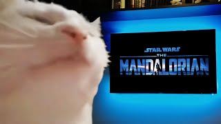 Watching The Mandalorian Credits Be Like...