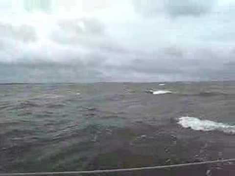 Sailing Svea in strong winds