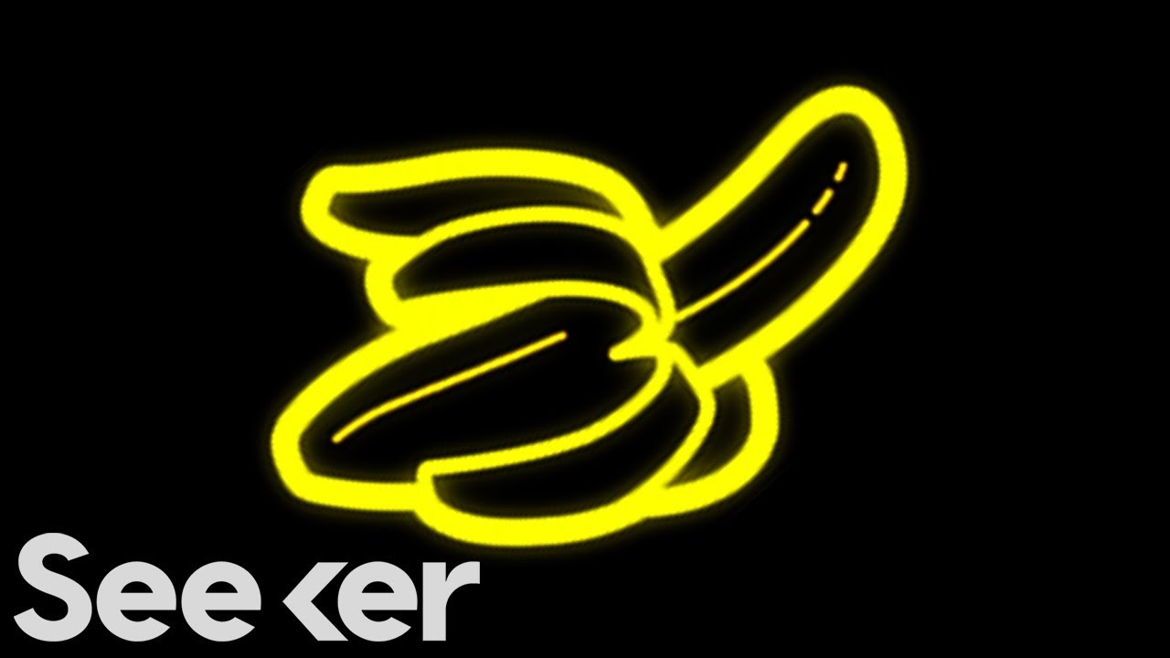 Can You Name The Most Bizarre Penises In the Animal Kingdom?