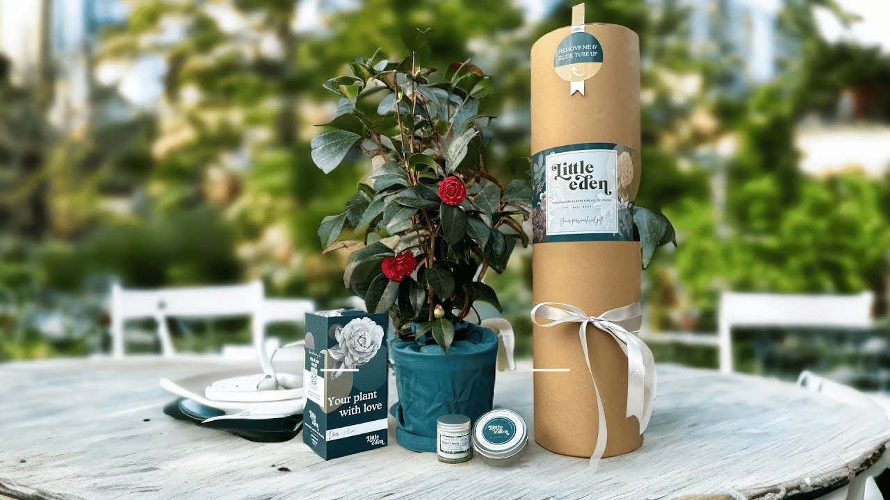 Introducing our personalised plant gifts