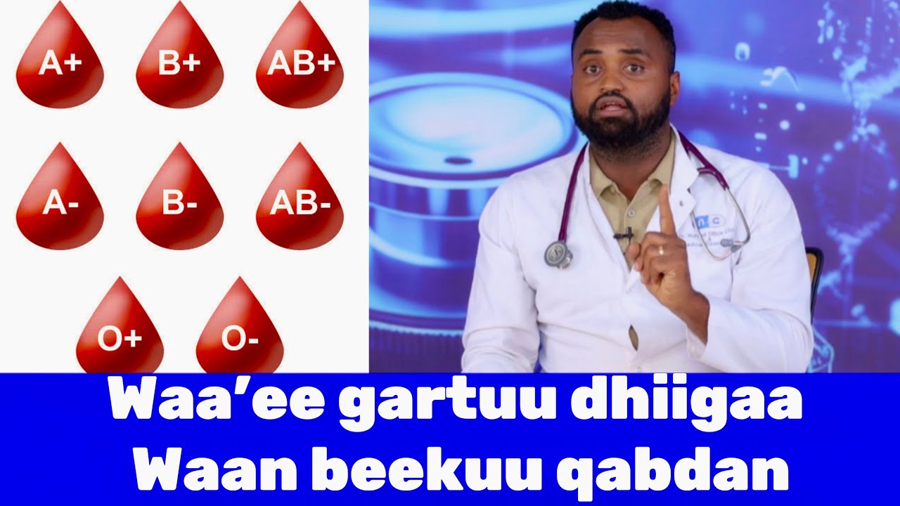 Iccitii guddaa waa’ee gartuu dhiiga keessanii beekuu qabdan