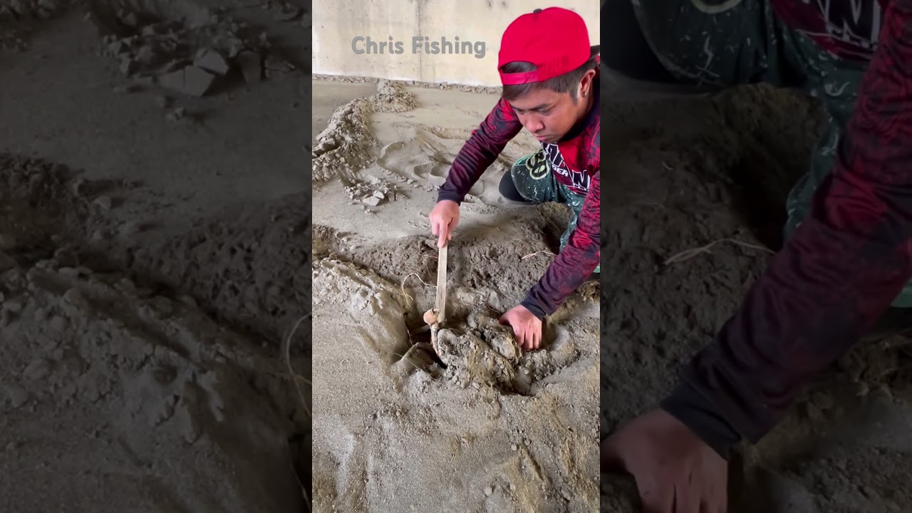 Two Crabs were seen on their way 🦀😲😲 