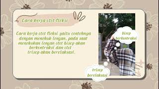 Vlog Tugas Biologi Sistem Gerak pada Otot-Dwi Hannin Ayuningtyas (XI MIPA 1)