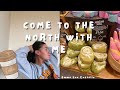 COME TO THE NORTH WITH ME | Visiting The Range & Home Bargains | Emma Lou Costello