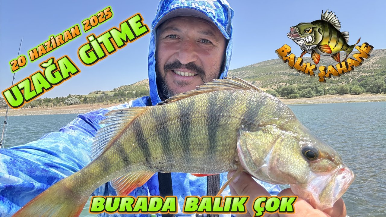 Balıklar Coştu,Adaşım Ankaradan Koştu.Abi Geldiler Abiii.Perch Turna Balık Avı.