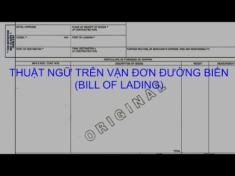 Video THUẬT NGỮ TRÊN VẬN ĐƠN ĐƯỜNG BIỂN (BILL OF LADING) - youtube