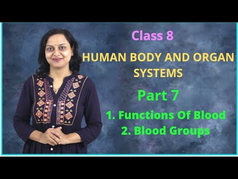 Human Body And Organ Systems | Part 7 | Class 8 | Maharashtra State
