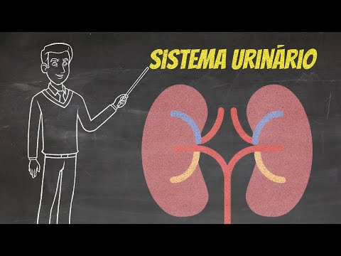 Vídeo: Noções básicas sobre problemas urinários dálmatas